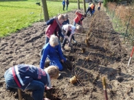 Boomfeestdag 2014