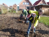 Boomfeestdag 2014