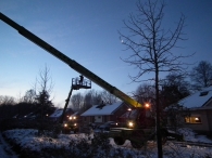 Kerstbomen zagen voor op het Plein