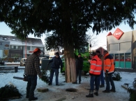 Kerstbomen zagen voor op het Plein