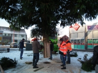 Kerstbomen zagen voor op het Plein