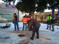 Kerstbomen zagen voor op het Plein