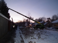 Kerstbomen zagen voor op het Plein