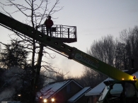 Kerstbomen zagen voor op het Plein