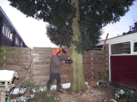 Kerstbomen zagen voor op het Plein
