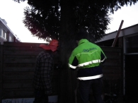 Kerstbomen zagen voor op het Plein