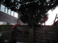 Kerstbomen zagen voor op het Plein