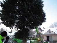 Kerstbomen zagen voor op het Plein