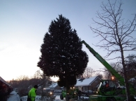 Kerstbomen zagen voor op het Plein