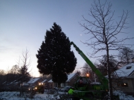 Kerstbomen zagen voor op het Plein