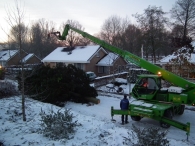 Kerstbomen zagen voor op het Plein