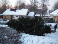 Kerstbomen zagen voor op het Plein
