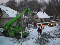Kerstbomen zagen voor op het Plein