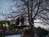 Kerstbomen zagen voor op het Plein