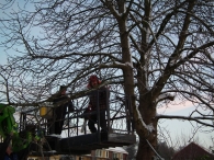 Kerstbomen zagen voor op het Plein