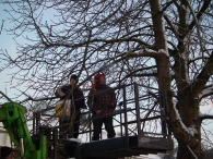 Kerstbomen zagen voor op het Plein