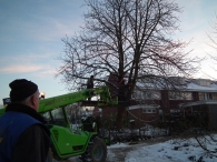 Kerstbomen zagen voor op het Plein