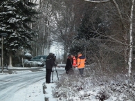 Kerstbomen zagen voor op het Plein