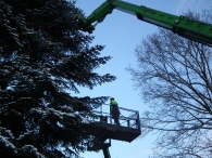 Kerstbomen zagen voor op het Plein
