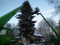 Kerstbomen zagen voor op het Plein