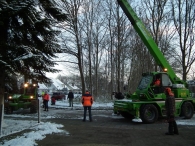 Kerstbomen zagen voor op het Plein