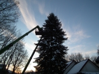 Kerstbomen zagen voor op het Plein