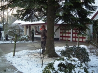 Kerstbomen zagen voor op het Plein