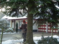 Kerstbomen zagen voor op het Plein