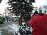 Kerstbomen zagen voor op het Plein