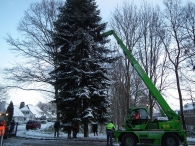 Kerstbomen zagen voor op het Plein