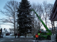 Kerstbomen zagen voor op het Plein