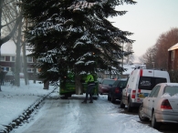 Kerstbomen zagen voor op het Plein