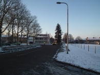 Kerstbomen zagen voor op het Plein