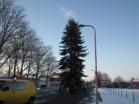 Kerstbomen zagen voor op het Plein