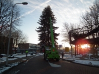 Kerstbomen zagen voor op het Plein