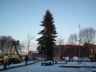 Kerstbomen zagen voor op het Plein
