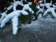 Kerstbomen zagen voor op het Plein