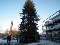 Kerstbomen zagen voor op het Plein