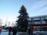 Kerstbomen zagen voor op het Plein