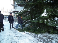 Kerstbomen zagen voor op het Plein