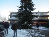 Kerstbomen zagen voor op het Plein