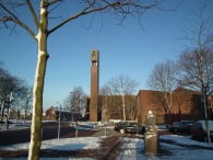 Kerstbomen zagen voor op het Plein