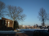 Kerstbomen zagen voor op het Plein