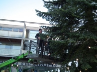 Kerstbomen zagen voor op het Plein