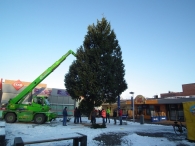 Kerstbomen zagen voor op het Plein