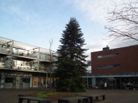 Lunch gemeente wijk en buurtbeheer