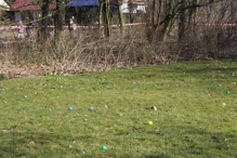 Paaseieren Zoeken
