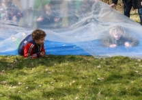 IJsvogel Spotten (2)