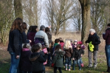 IJsvogel Spotten (2)