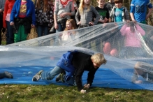 IJsvogel Spotten (2)